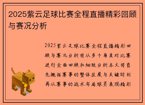 2025紫云足球比赛全程直播精彩回顾与赛况分析